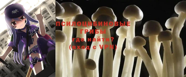 шишки Белокуриха