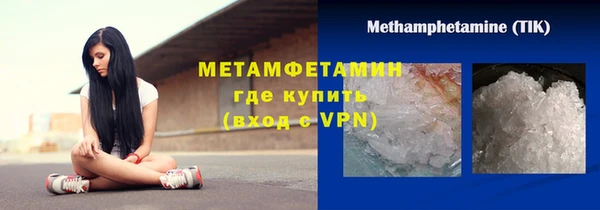 шишки Белокуриха