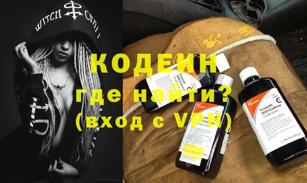 шишки Белокуриха