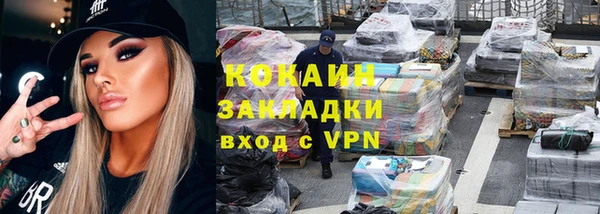 шишки Белокуриха